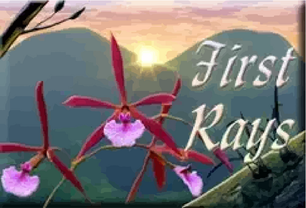First Rays